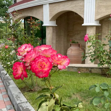 Villa Sintica-3